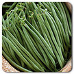 Bean: Tavera Snap Bush Bean Organic image