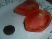 Tomato: Altaechka - pink plum- 2015 grow out image