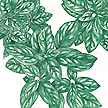 Basil: Mammoth image