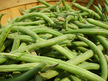 Bean: Baccicia Bush Bean  image