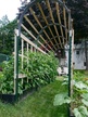 Squash, Winter: Bean Tunnel image