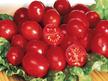 Tomato: Gum Drop image