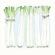 Leek: American Flag image