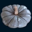 Pumpkin: Jamboree Hybrid -Citrouille image