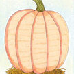 Pumpkin: Howden image