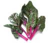 Chard: Magenta Sunset image