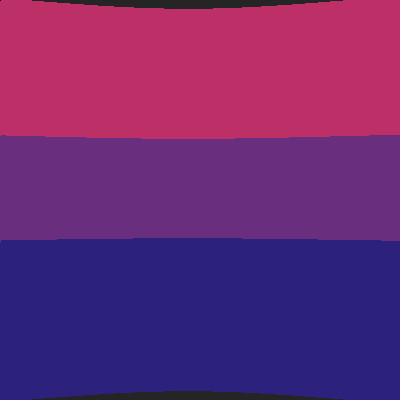 Bandeira bi screenshot