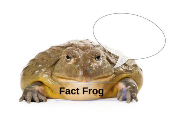 Fact Frog Template MEME GENERATOR TEMPLATE SoupMemes