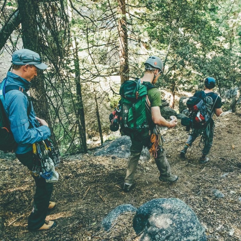 Jimmy chin woods group
