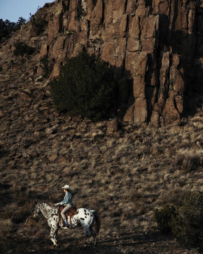 Patti people horse mountain