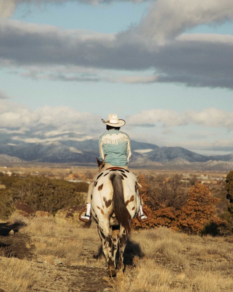 Patti people nora horse vertical