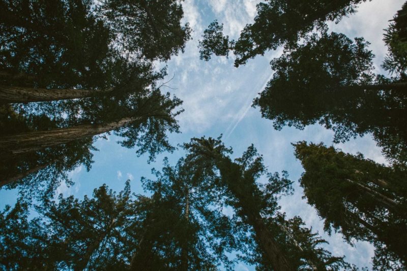 Cody hudson sky