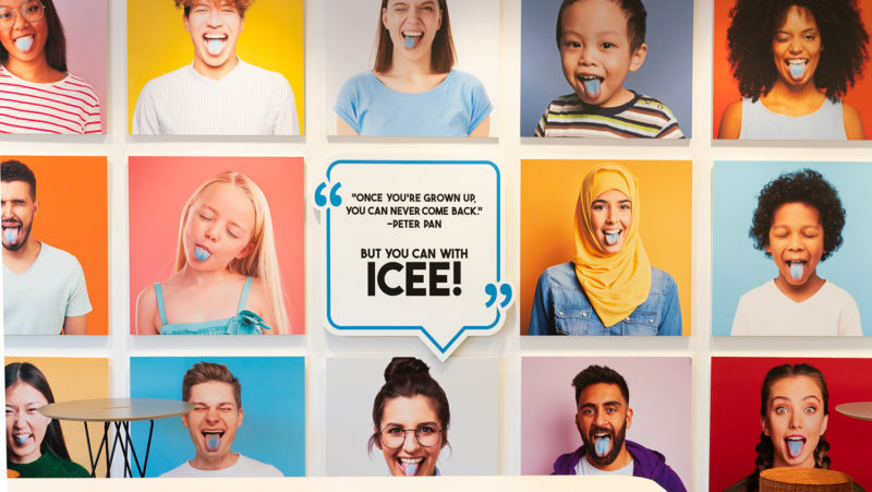 ICEE 3
