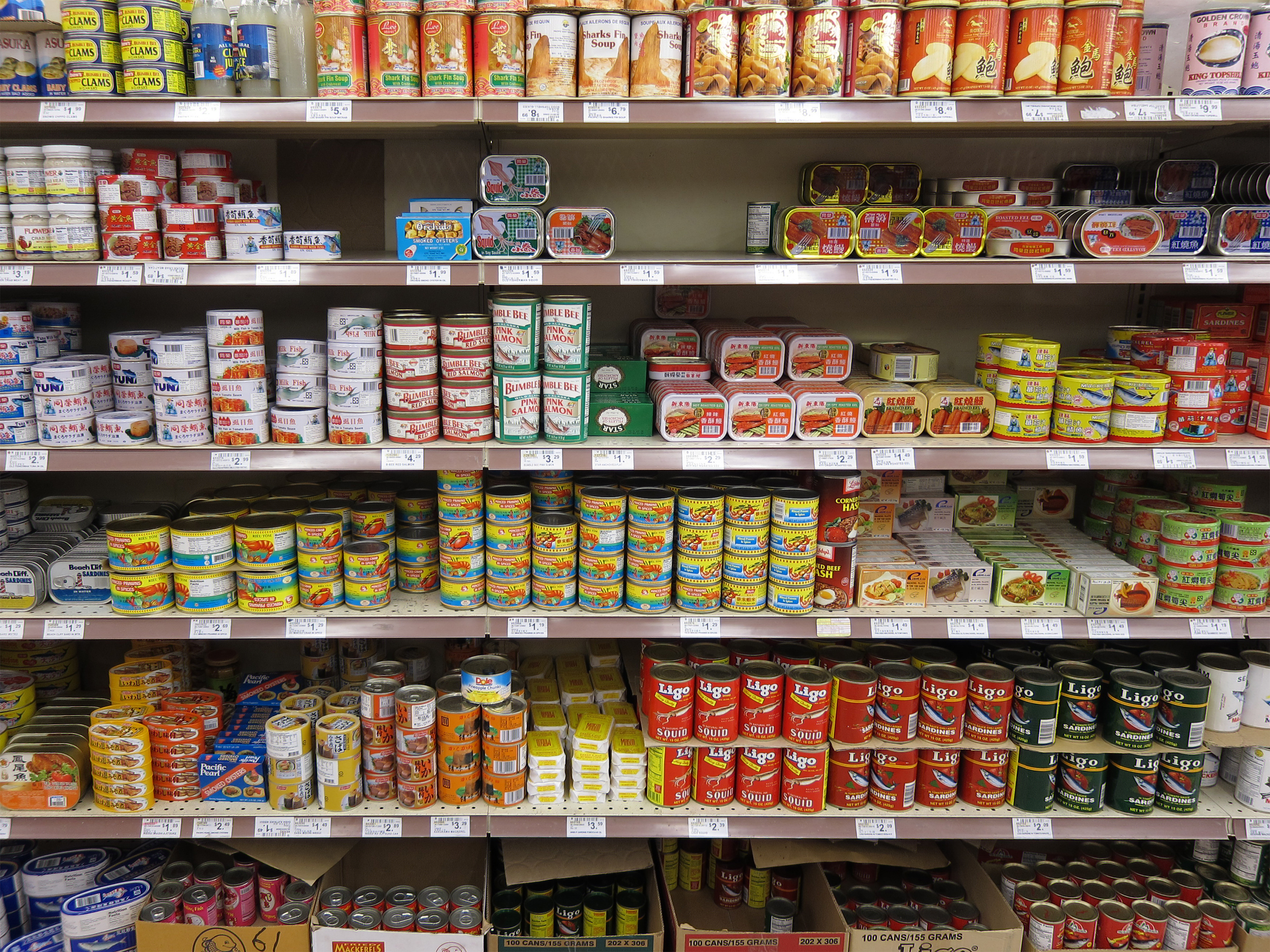 canned food stanford researcher finds link between canned food and exposure to hormone disrupting canned food stanford researcher finds link between canned food and exposure to hormone disrupting