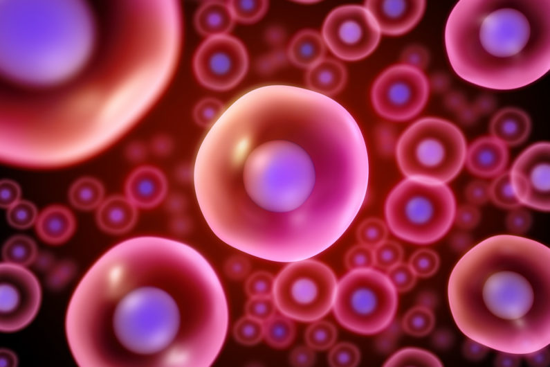 Rendering of cells
