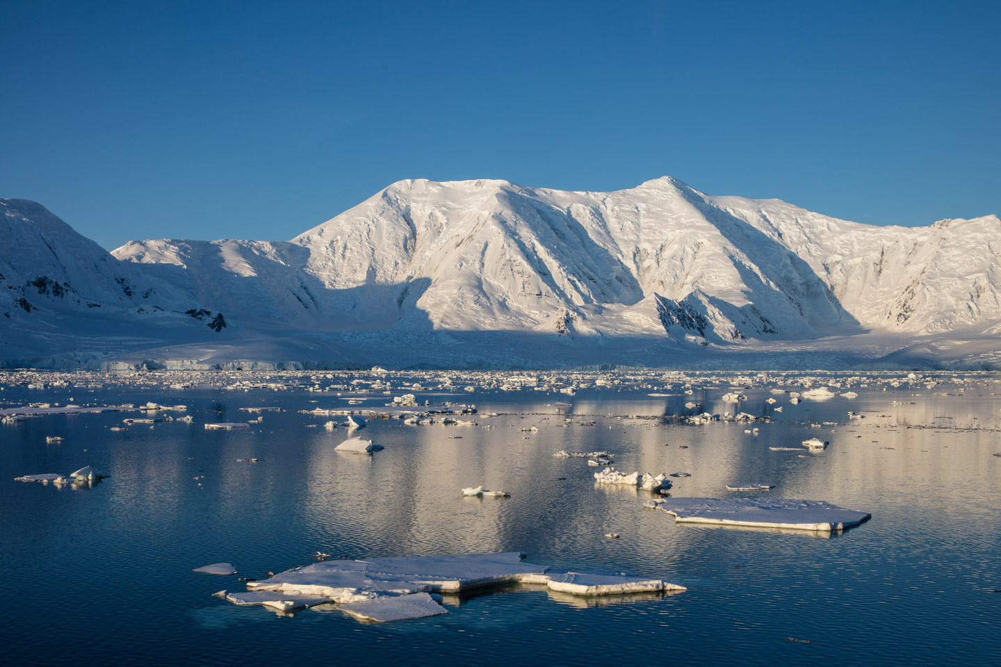 what is the future of antarctica A good estimate of antarctica's ice loss will help climate scientists better predict future sea level rise, shepherd says, as the planet continues to. what is the future of antarctica A good estimate of antarctica's ice loss will help climate scientists better predict future sea level rise, shepherd says, as the planet continues to.