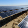 Large array of solar panels