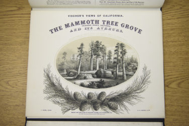 A book of engravings known as Vischer's Views Of California detailing The Mammoth Tree Grove, is part of the Sequoias collection.