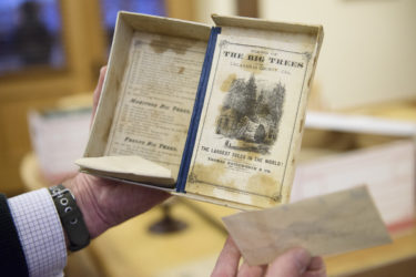 In the collection is a small box with views of the big trees and seeds that could be planted.