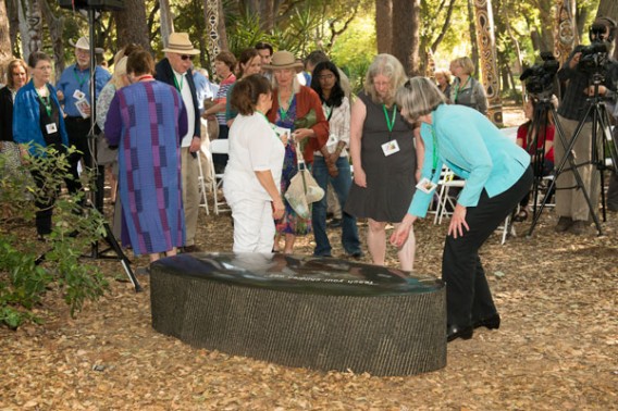 dish_schneider_bench