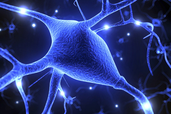 Photo of brain activity with glowing trails of light spreading between connected nerves.