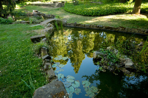 A photo of a pond with lily pads and the greenery surrouding it.