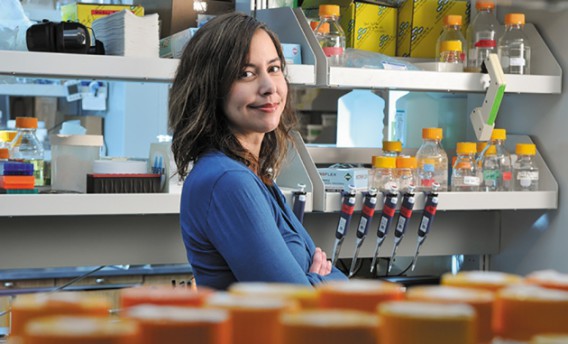 Christina Smolke (Photo credit: Rod Searcey/Stanford Engineering)