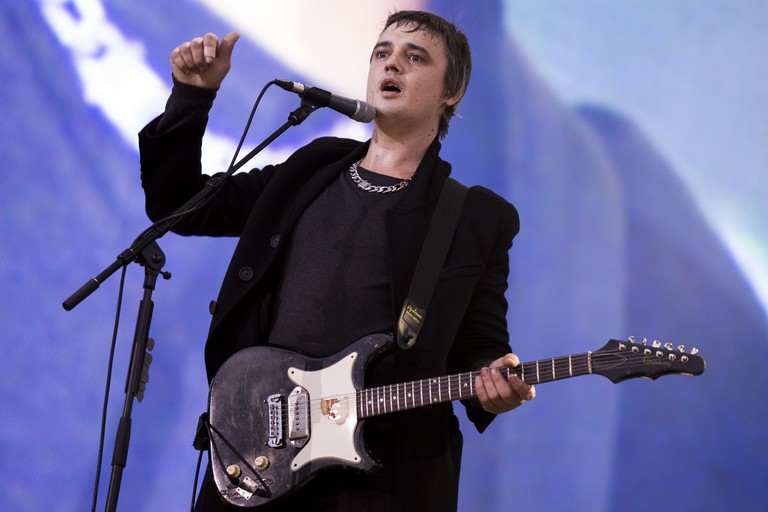 pete doherty hospitalized hedgehog