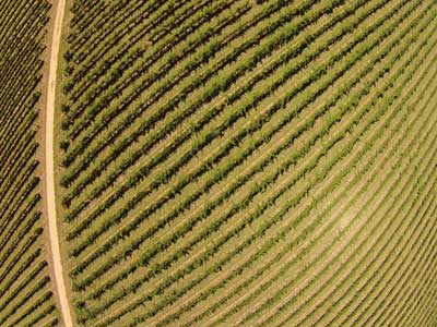 aerial photos fisheye barrel distortion