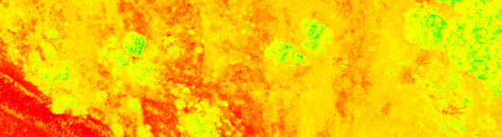 NDVI Processing and Stitching - Maps Made Easy
