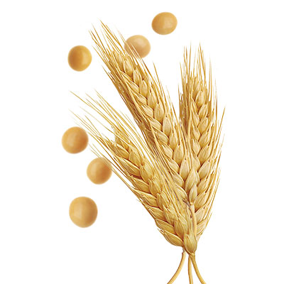 app_04_tre-en-en