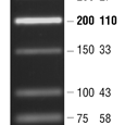 labscoop