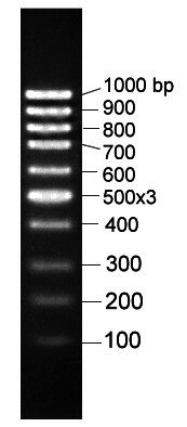 labscoop