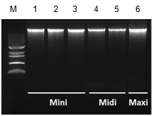 labscoop