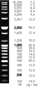 labscoop