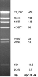 labscoop