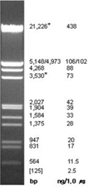 labscoop