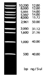 labscoop