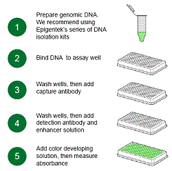 labscoop