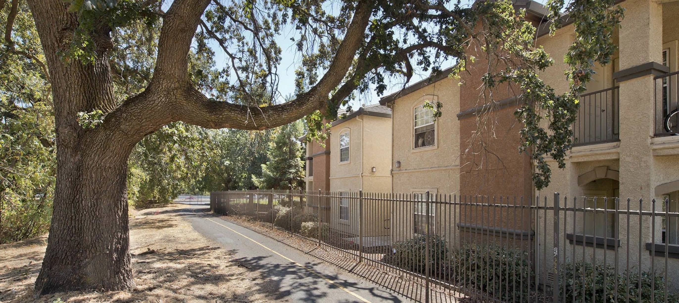 RIVER OAKS APARTMENTS photo 6