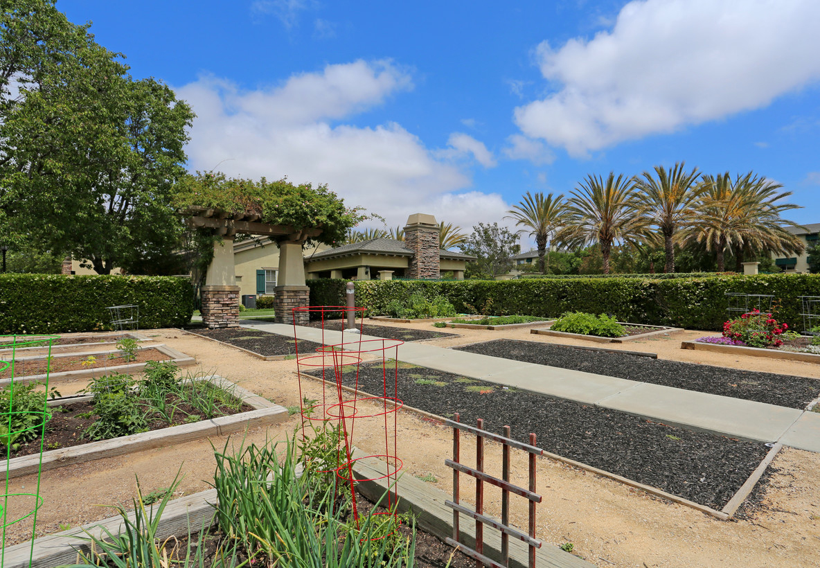 EMERALD PARK photo 2