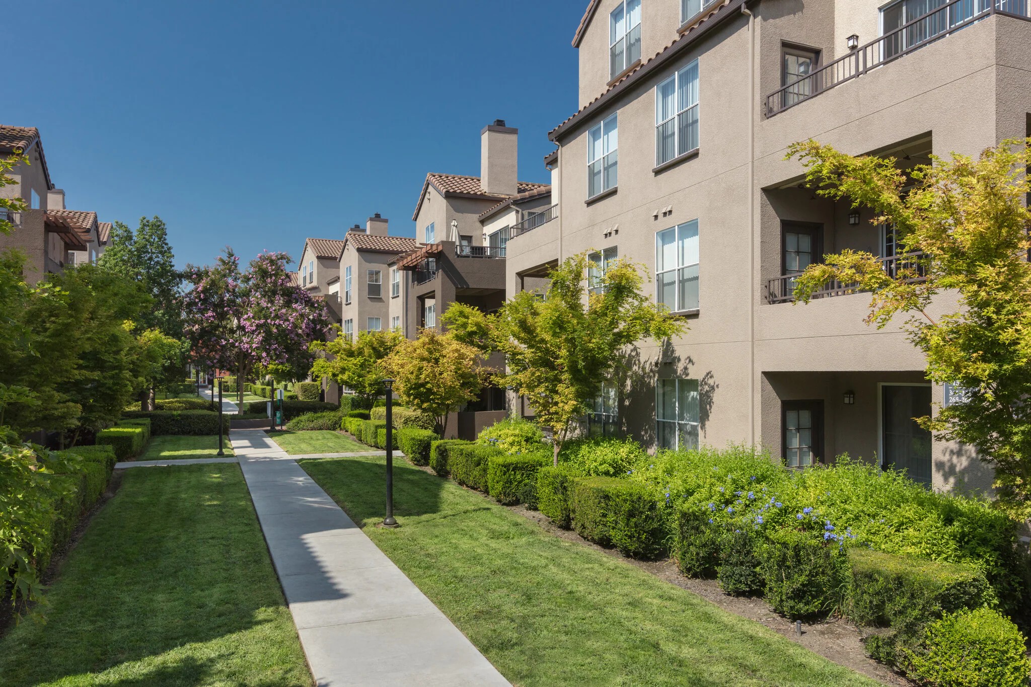 AVALON ON THE ALAMEDA photo 5