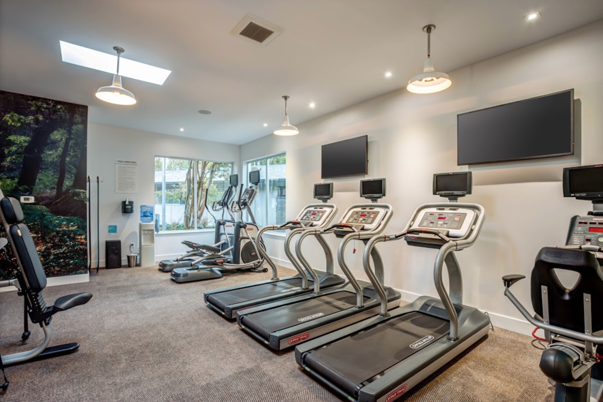 MADRONE APARTMENTS photo 5