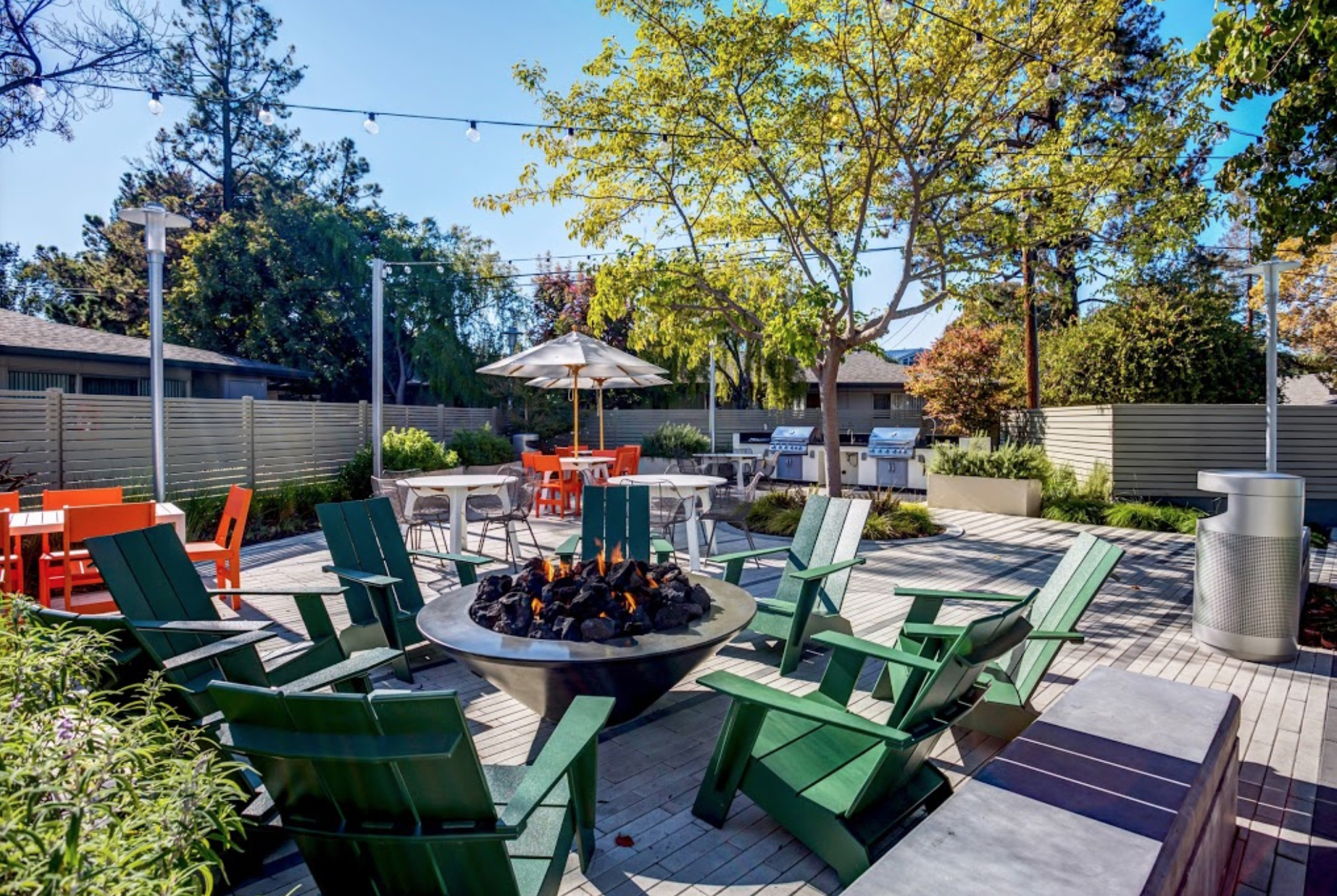 MADRONE APARTMENTS photo 2
