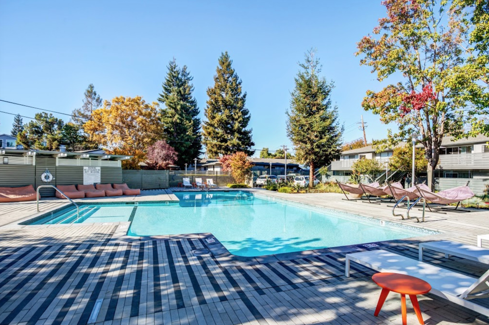 MADRONE APARTMENTS photo 4