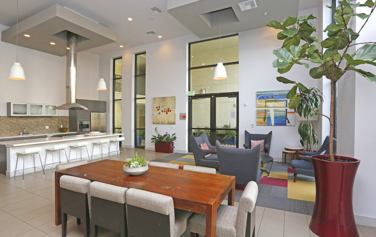 121 TASMAN photo 6