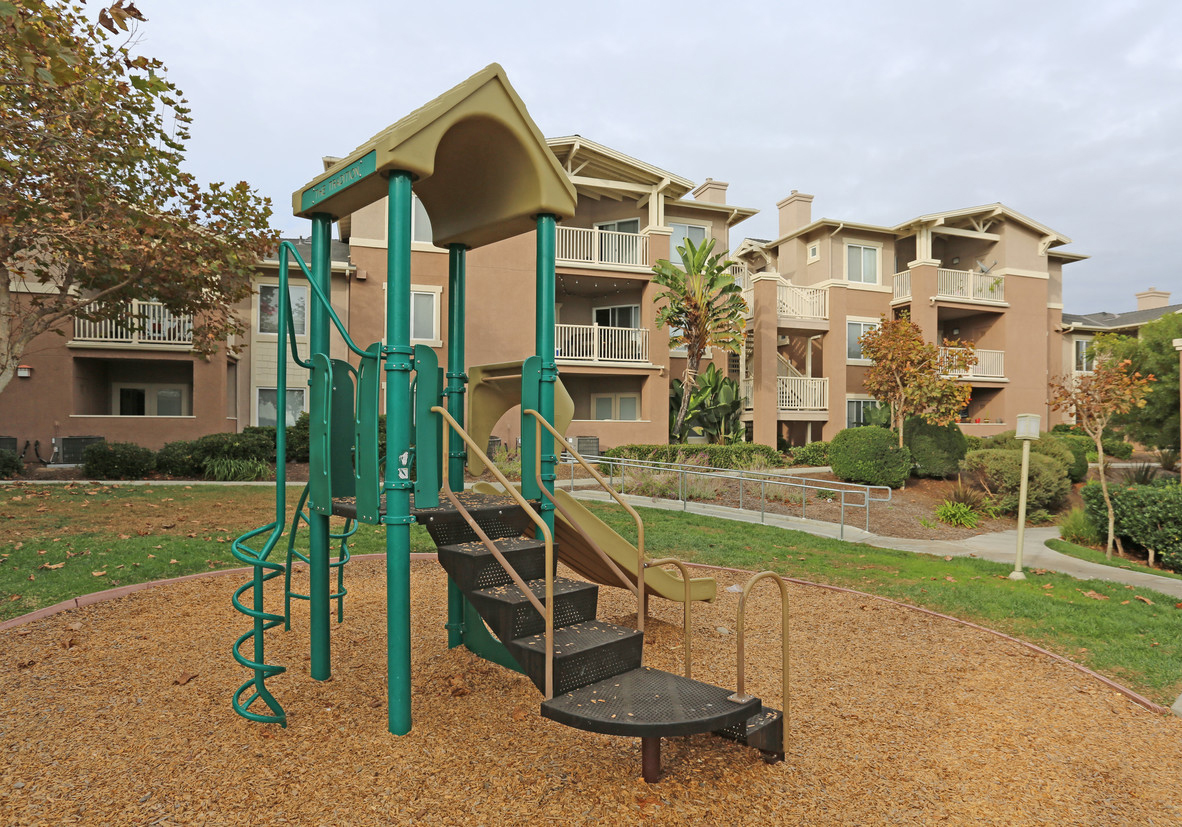 THE TRADITION APARTMENT HOMES photo 5