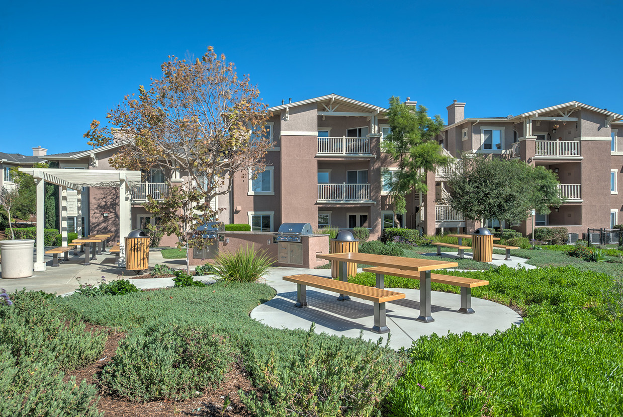 THE TRADITION APARTMENT HOMES photo 3