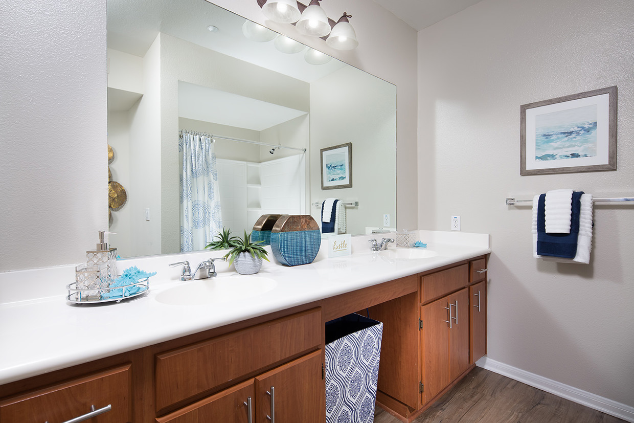 THE TRADITION APARTMENT HOMES photo 10