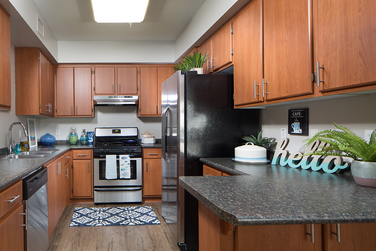 THE TRADITION APARTMENT HOMES photo 7